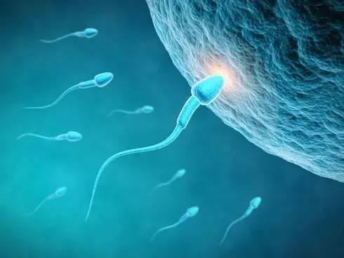 The whole process of sperm donation is shared