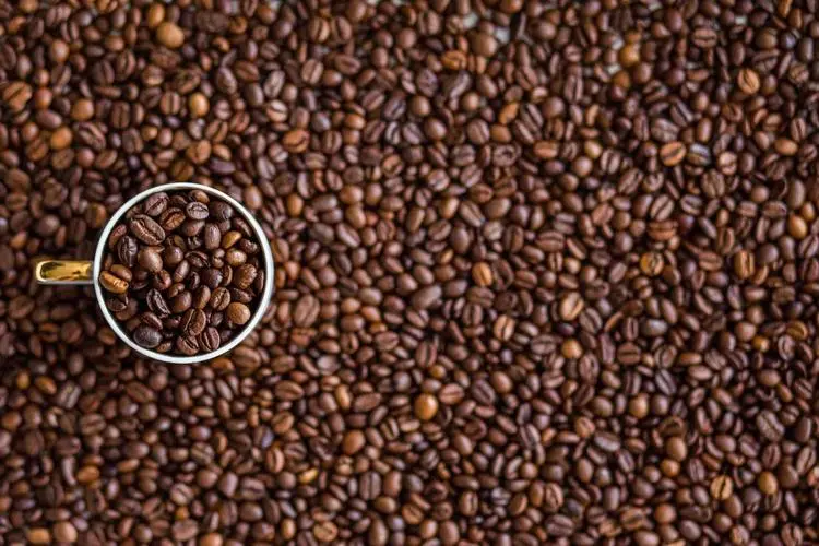 World's Most Popular Coffee Beans: A Comprehensive Guide