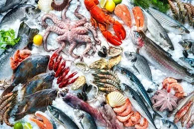 Exploring Seafood Flavors: A Culinary Journey