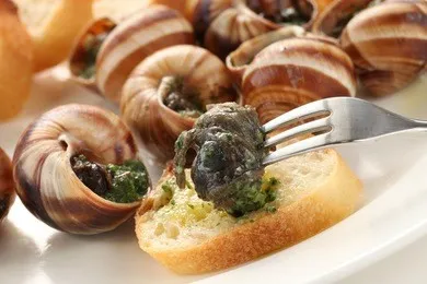 French Snail Recipe: The Art of Preparing the Iconic Cuisine